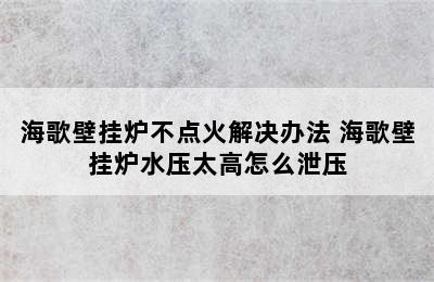 海歌壁挂炉不点火解决办法 海歌壁挂炉水压太高怎么泄压